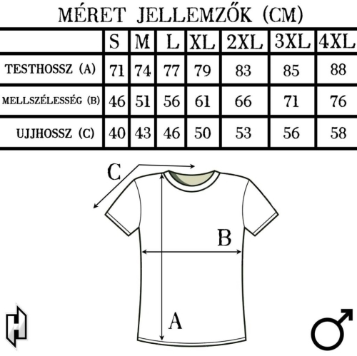 Ossian: Lélekerő Férfi póló