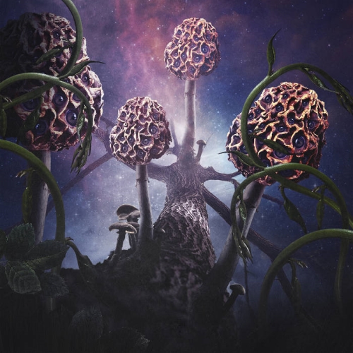 Blut Aus Nord: Hallucinogen SLIPCASE DIGI CD