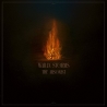 Wailin Storms: The Arsonist DIGI CD