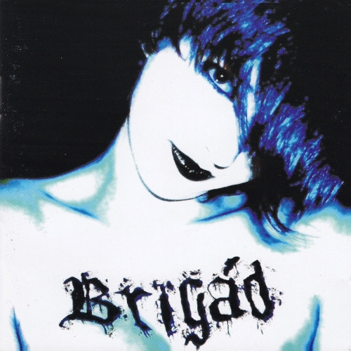 Brigád: Brigád CD