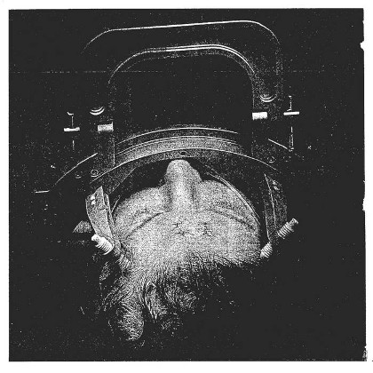 Concede: Indoctrinate CD