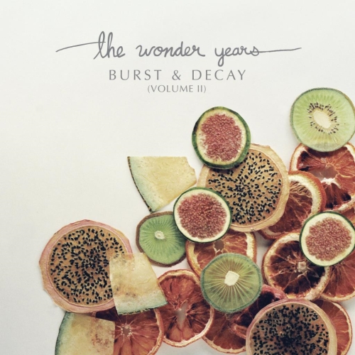 Wonder Years, The: Burst & Decay LP