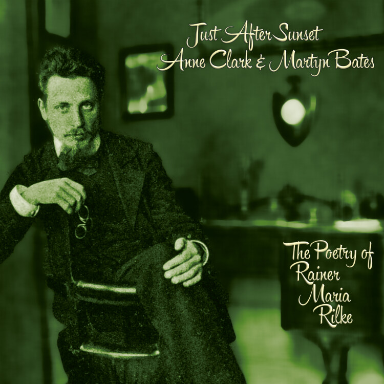 Anne Clark & Martyn Bates: Just After Sunset CD