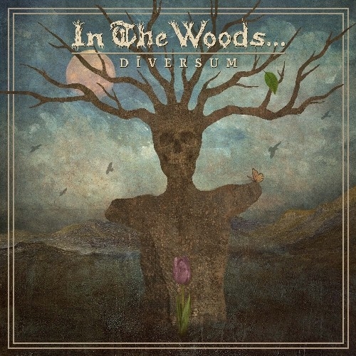 In The Woods...: Diversum CD