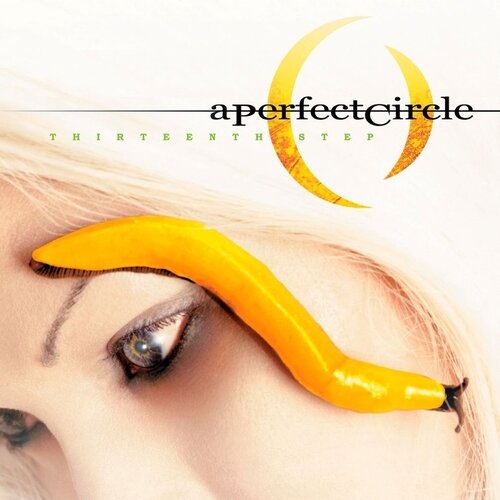 Perfect Circle, A: Thirteenth Step CD