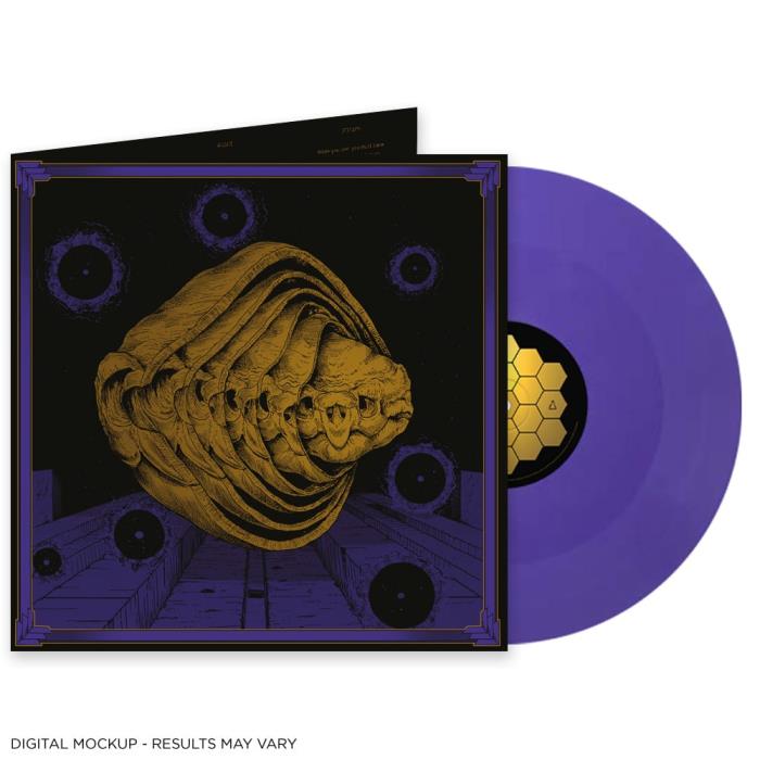 Tortuga: Iterations PURPLE LP