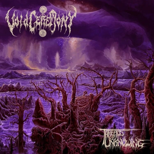 Voidceremony: Threads Of Unknowing CD
