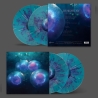 At Night I Fly: collision/fusion/division LIMITED EDITION PURPLE SPLATTER 2LP