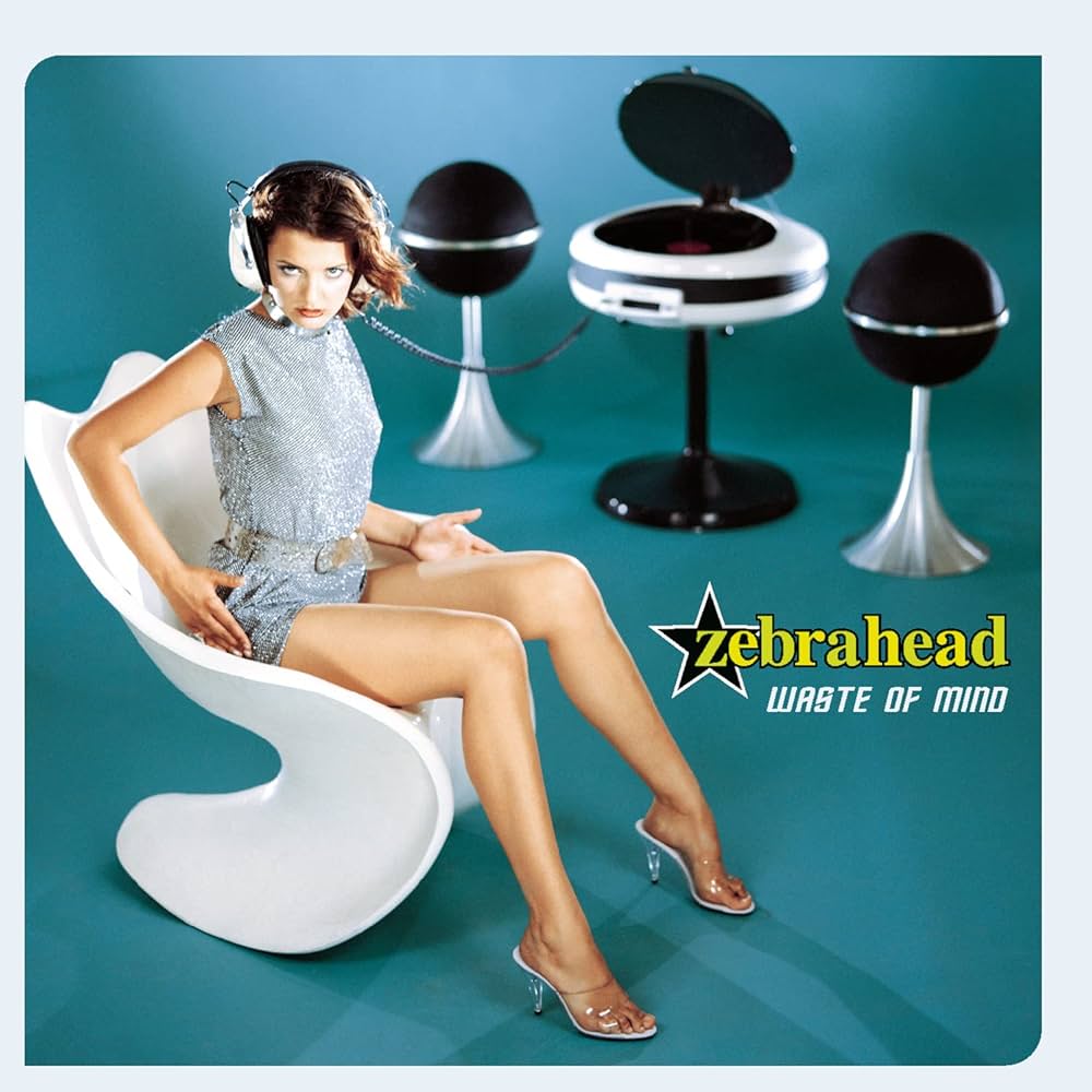 Zebrahead: Waste Of Mind CD