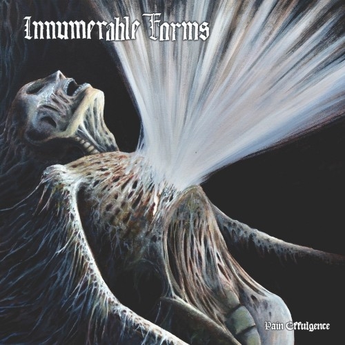 Innumerable Forms: Pain Effulgence CD