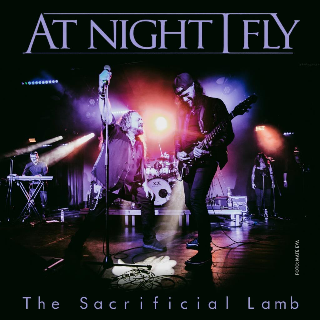 At Night I Fly klippremier: