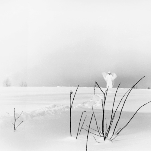 Timo Rautiainen & Trio Niskalaukaus: In Frostigen Talern CD