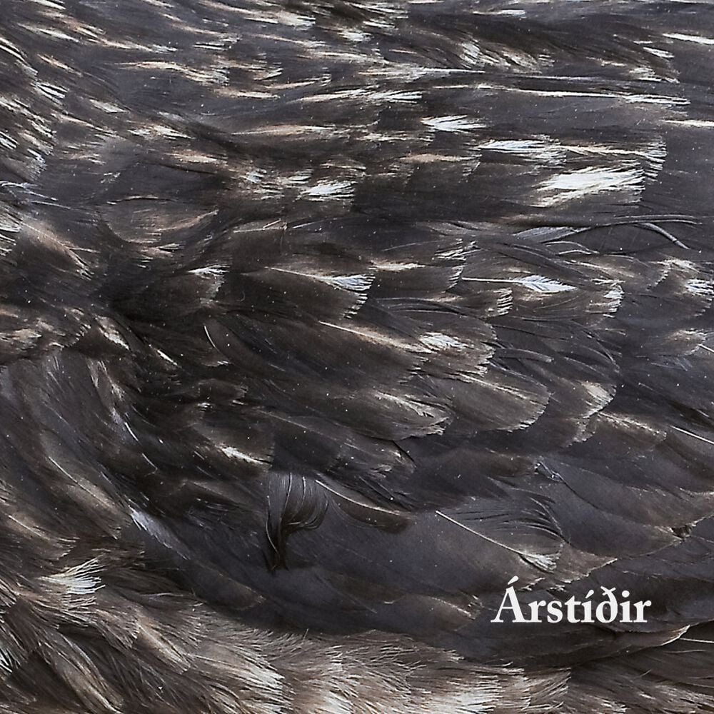 Arstidir: Arstidir DIGI CD