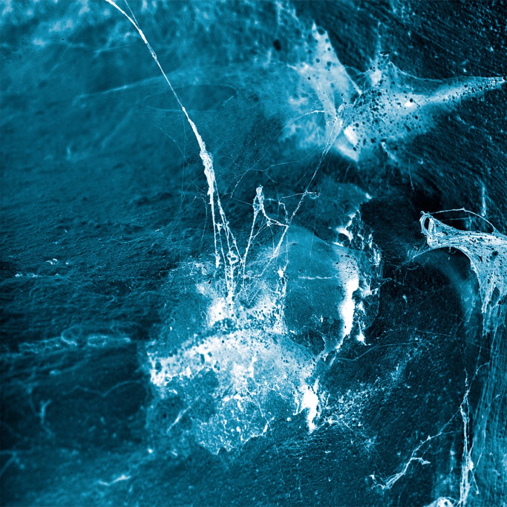 Arstidir: Hvel DIGI CD