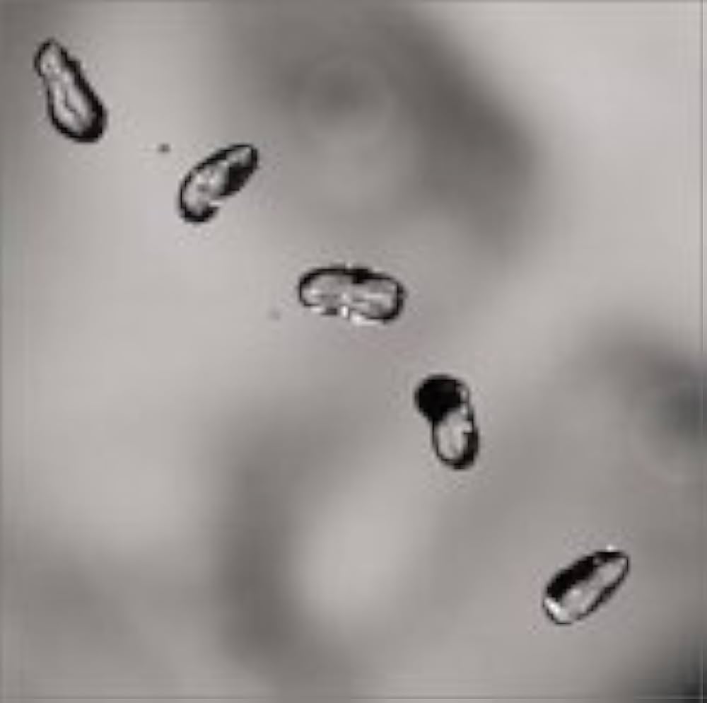 Peter Gabriel: Up CD