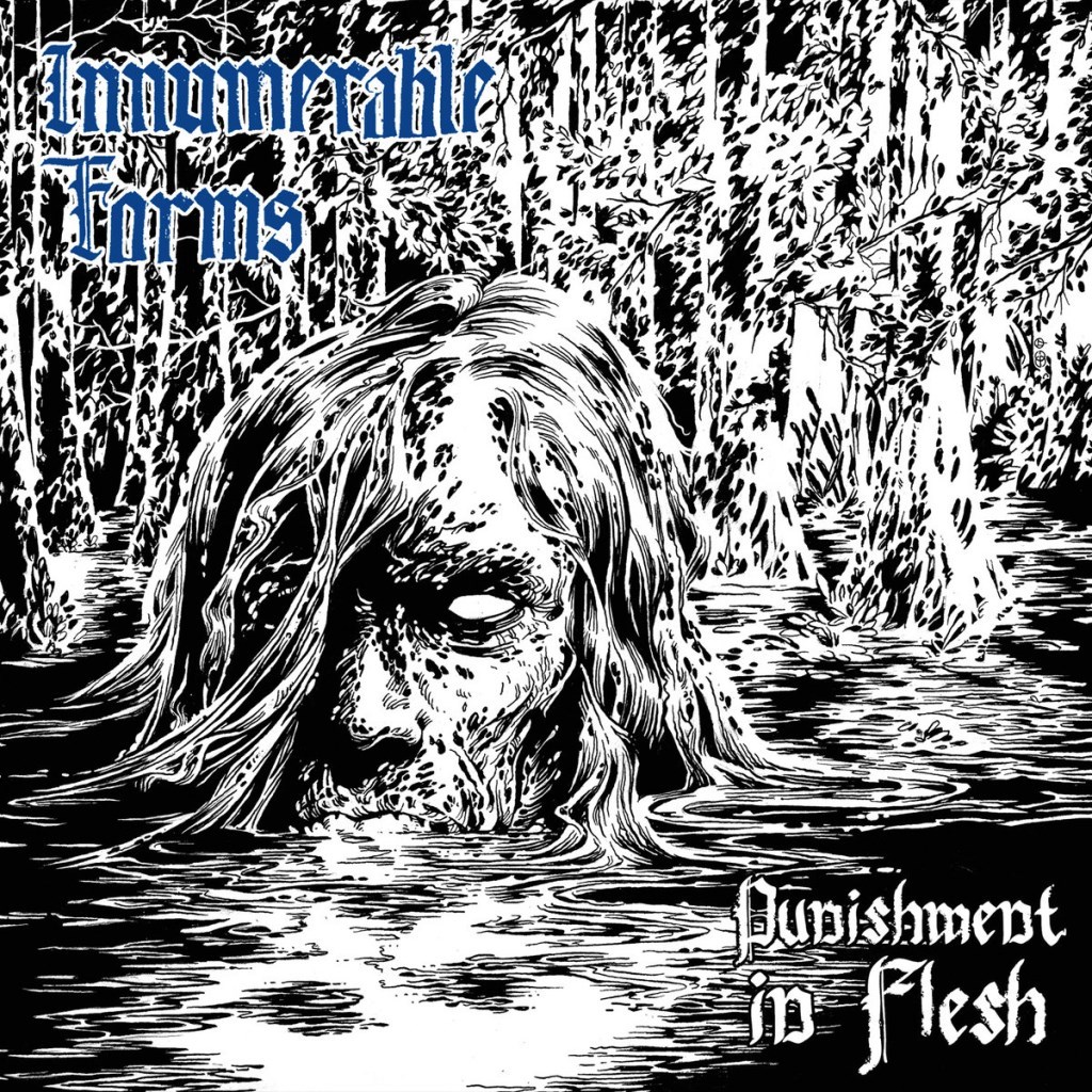 Innumerable Forms: Punishment In Flesh CD