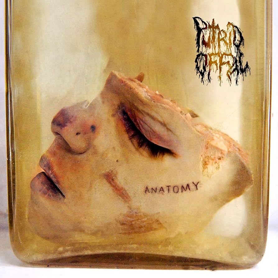 Putrid Offal: Anatomy DIGI EP CD