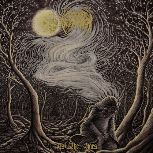 Woods Of Desolation: As The Stars DIGI CD